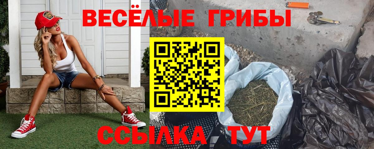 Галлюциногенные грибы Psilocybe  Вход с VPN  Приморско-Ахтарск 